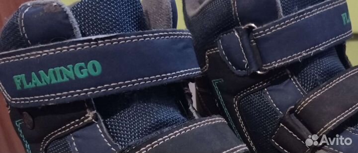 Ботинки демисезонные