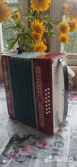 Аккордеон детский малыш