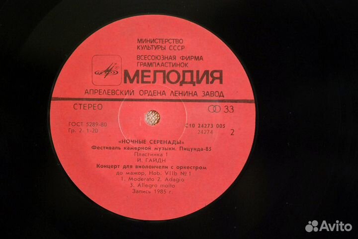Гайдн - Симфония 49 / Концерт виолончели - Рудин