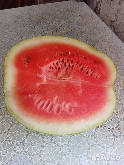 Домашнии арбузы