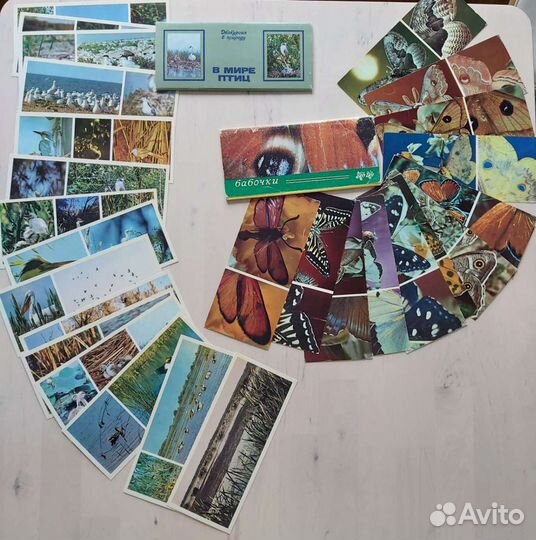 Открытки СССР животные, птицы, рыбы, бабочки, прир