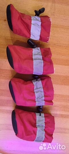 Обувь для животных