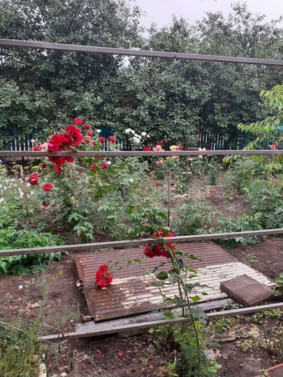 Дом 50 м² на участке 6,2 сот.