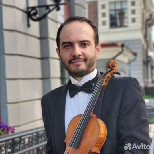 Живая музыка, скрипка