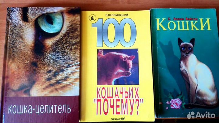 Книги о кошках 2
