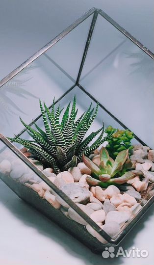Флорариум 