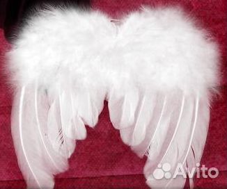 Крылья ангела