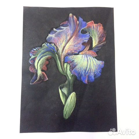 Рисунок пастелью «Ирис»