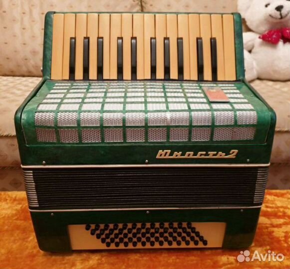 Аккордеоны Юность и другие. Детские