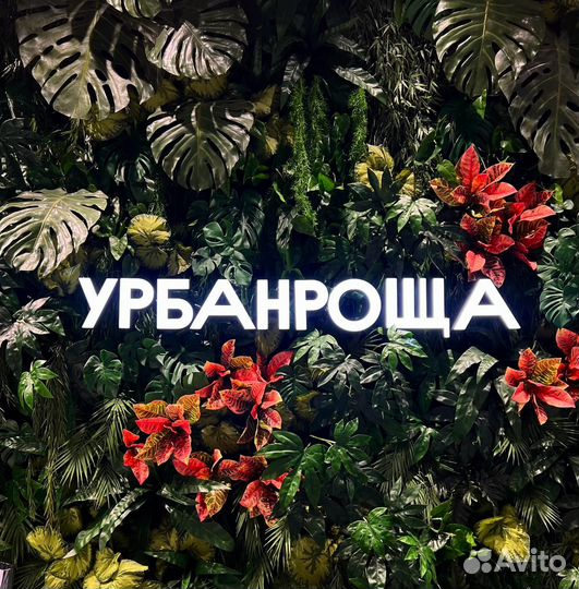 Парикмахер стилист