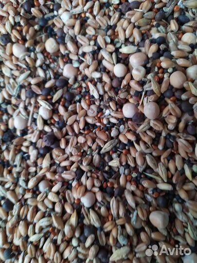 Корм для птиц хорошего качества