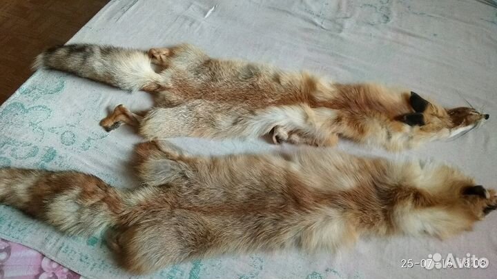 Шкурка лисы