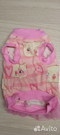 Сухой корм для котят