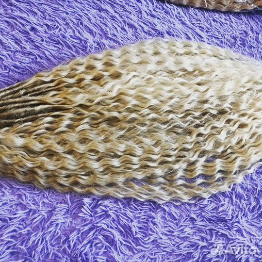 Дредокудри