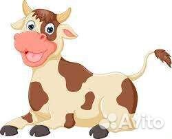 Бычки 7 месяцев