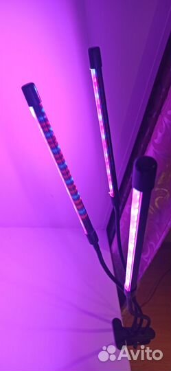 Фитолампа для растений