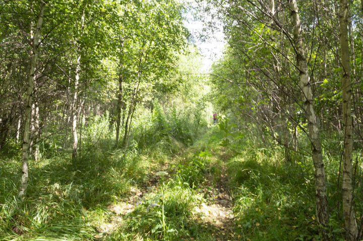 Участок 9 га (СНТ, ДНП)