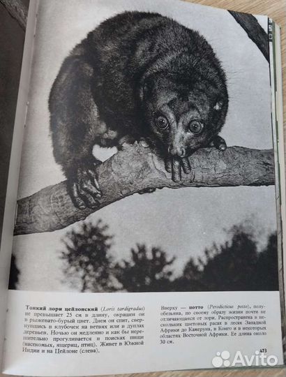 Энциклопедия о животных, Прага, 1972