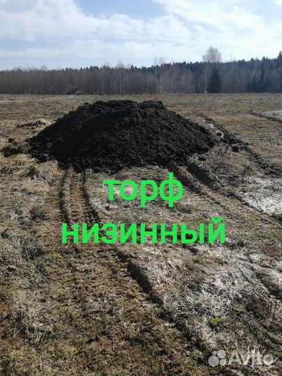 Торф низинный