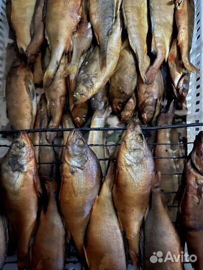 Рыба горячего копчения