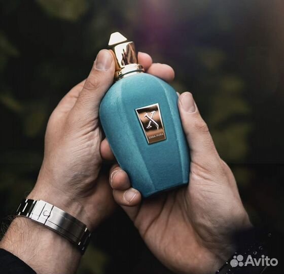 Xerjoff Erba Pura 100ml оригинал