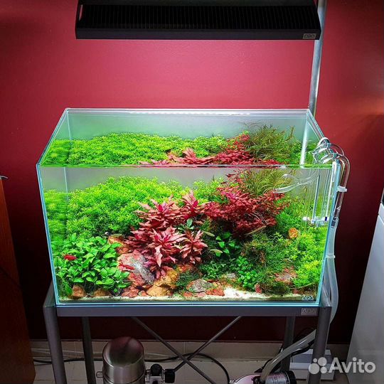 Оформление аквариумов,консультации,коряги