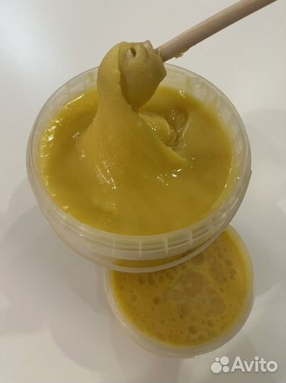 Маслянистый Мед