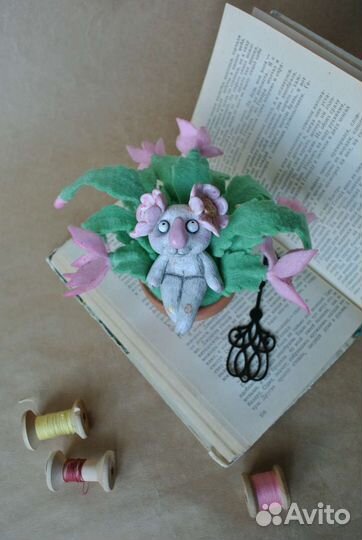 Декор для дома, Декабрист, Рождественский кактус