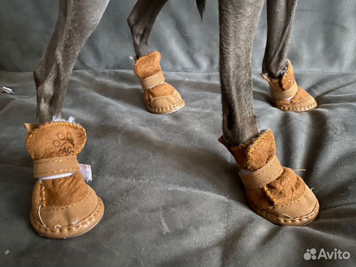 Ботинки для маленьких собак