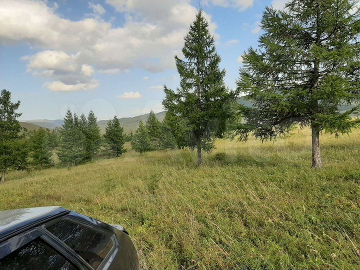 Участок 73 га (СНТ, ДНП)