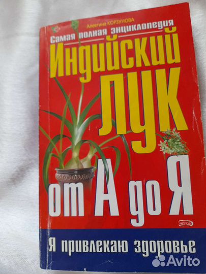 Индийский лук