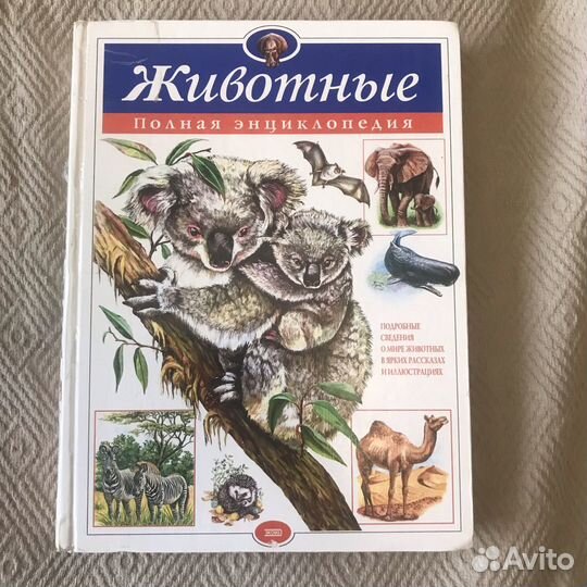 Энциклопедия