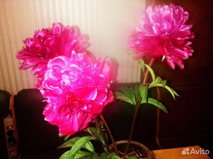 Многолетники в саду