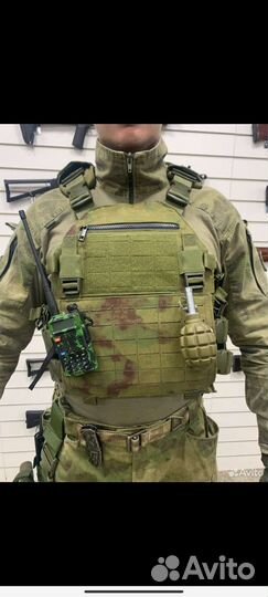 Плитник мох