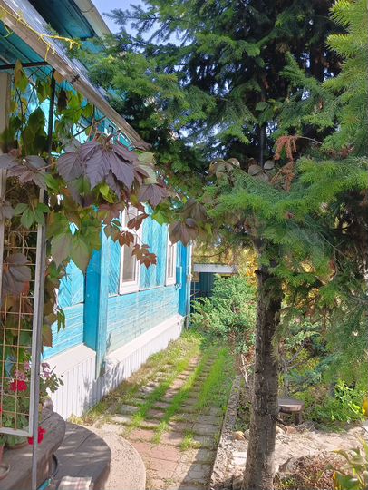 Дом 45,8 м² на участке 6 сот.