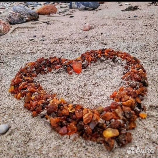 Экскурсионные туры в Калининград от 3 дней