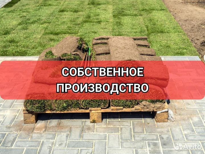 Укладка газона