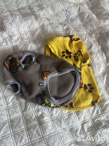 Одежда для собак мелких пород