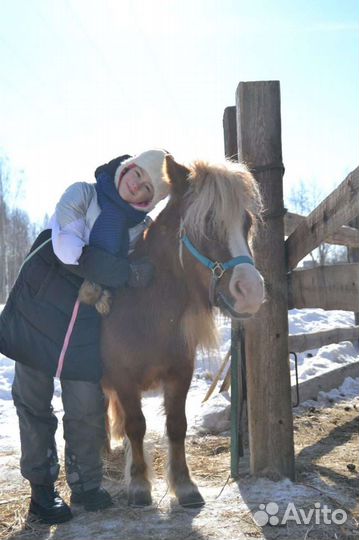 Прогулки на лошадях и поход в конный клуб