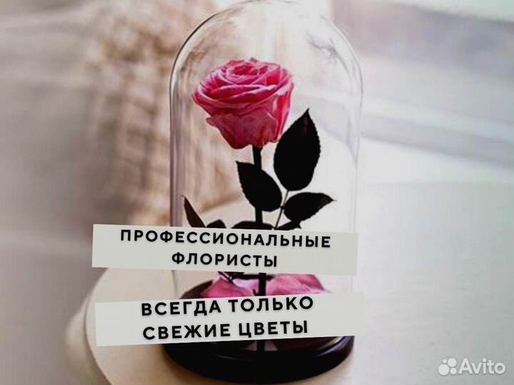 Роза в колбе. С гарантией
