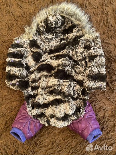 Одежда для собак комбинезон