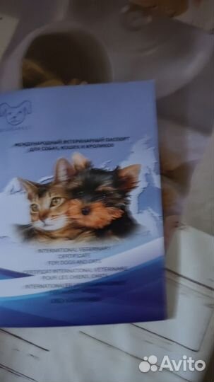 Ветеринарные книги