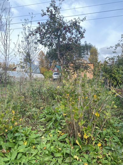 Дом 45,1 м² на участке 6,1 сот.