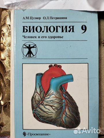Проект по биологии человек 9 класс