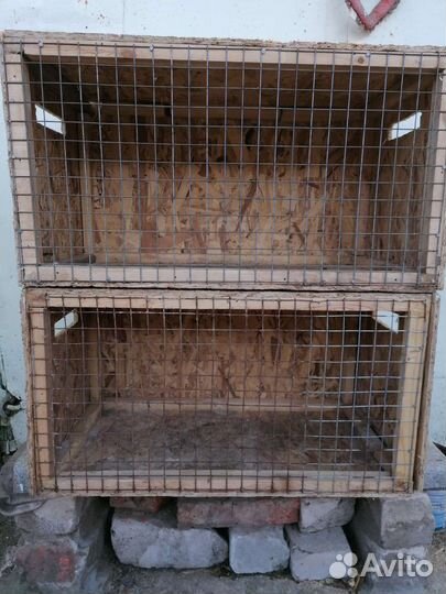 Поилки и клетки переноски для кроликов