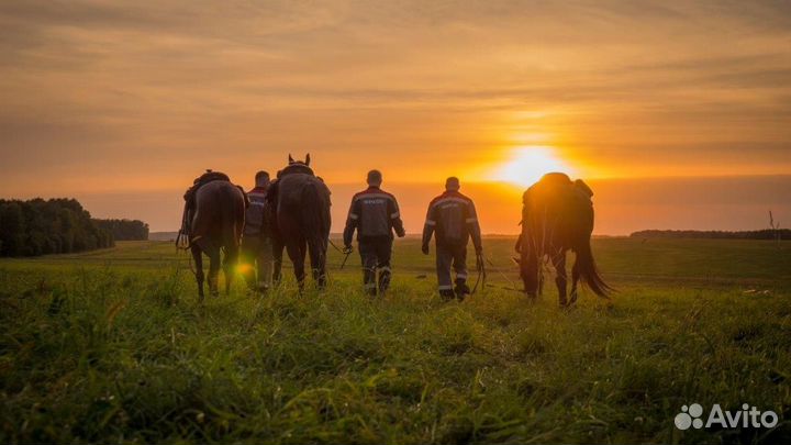 Оператор-животновод