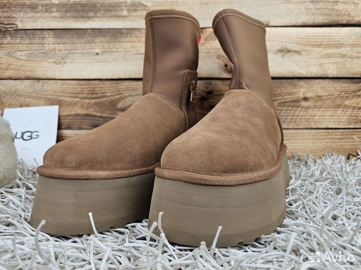 Угги Ugg Classic Dipper Chestnut женские оригинал