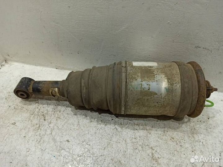 Пневмоамортизатор задний