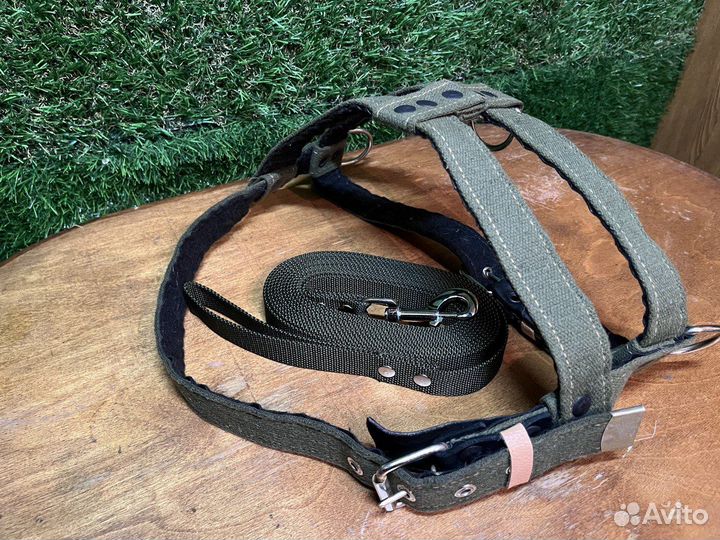 Шлейка для большой собаки и поводок 5м