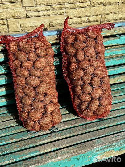 Продам картофель домашний